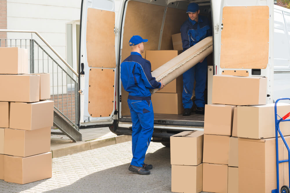 Same-day Moving Service