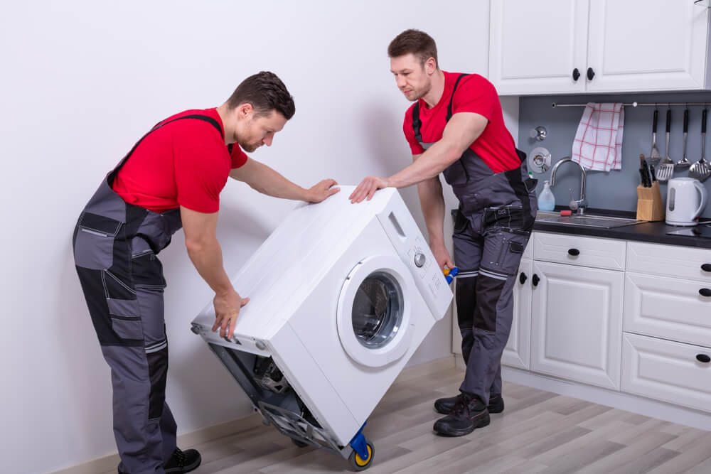 Full-Service Movers In Sun City Center