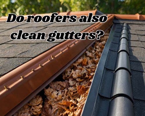 roof gutter needs immediate cleaning